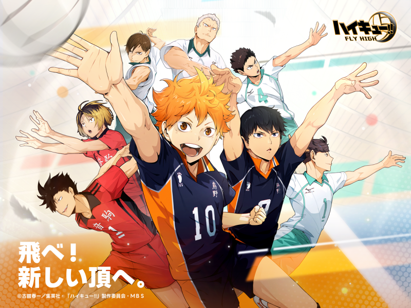 Haikyu!! Fly High